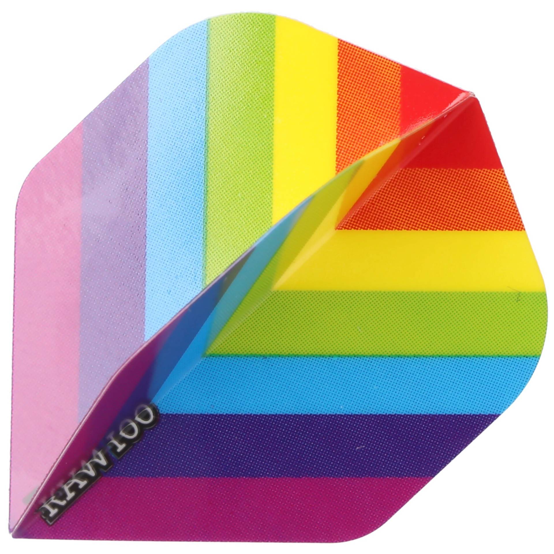 Dart Flight mit Regenbogen Motiv LGBT von Designa