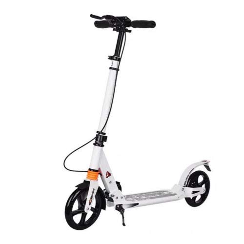 Tretroller Faltbar Cityroller Scooter Doppelfederung, Klappbar & Höhenverstellbar für Erwachsene Kinder bis 100kg （Nicht-elektrisch） Weiß von DiLiBee
