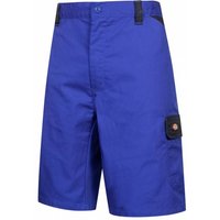 Dickies Everyday Short Herren Cargo Shorts ED247SHRBN von Dickies