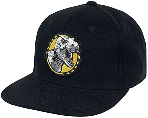 Difuzed Jurassic Park Cap Männer Cap schwarz 100% Baumwolle Fan-Merch, Filme von Difuzed