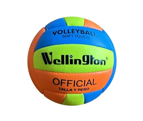 Dimasa Offizieller Miniball Volleyball, Farbe (Mehrfarbig), einzigartig (DIMMV001) von Dimasa