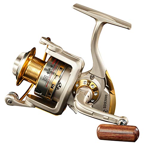 Diwa Spinning Fishing Reels for Saltwater Freshwater 1000 2000 3000 4000 5000 6000 Series Left/Right Interchangeable Trout Spinning Reel Carp Fishing Spool 10 Ball Bearings Light and Smooth (3000) von Diwa