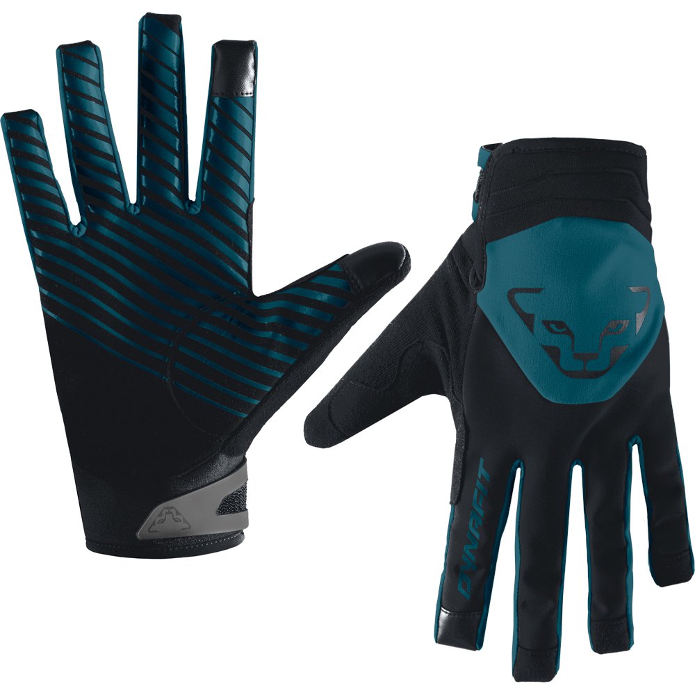 Dynafit Radical 2 Softshell Gloves Blau M Mann von Dynafit