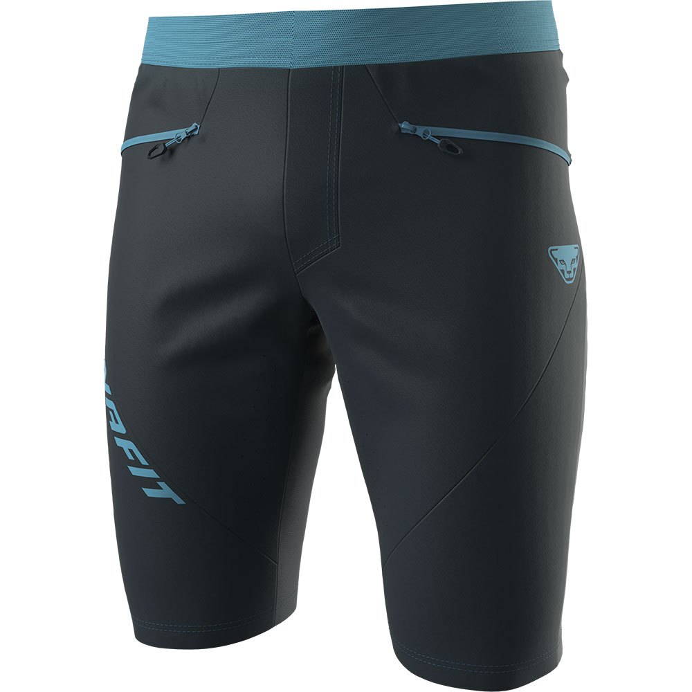 Dynafit Traverse Dynastretch Shorts Grau L Mann von Dynafit