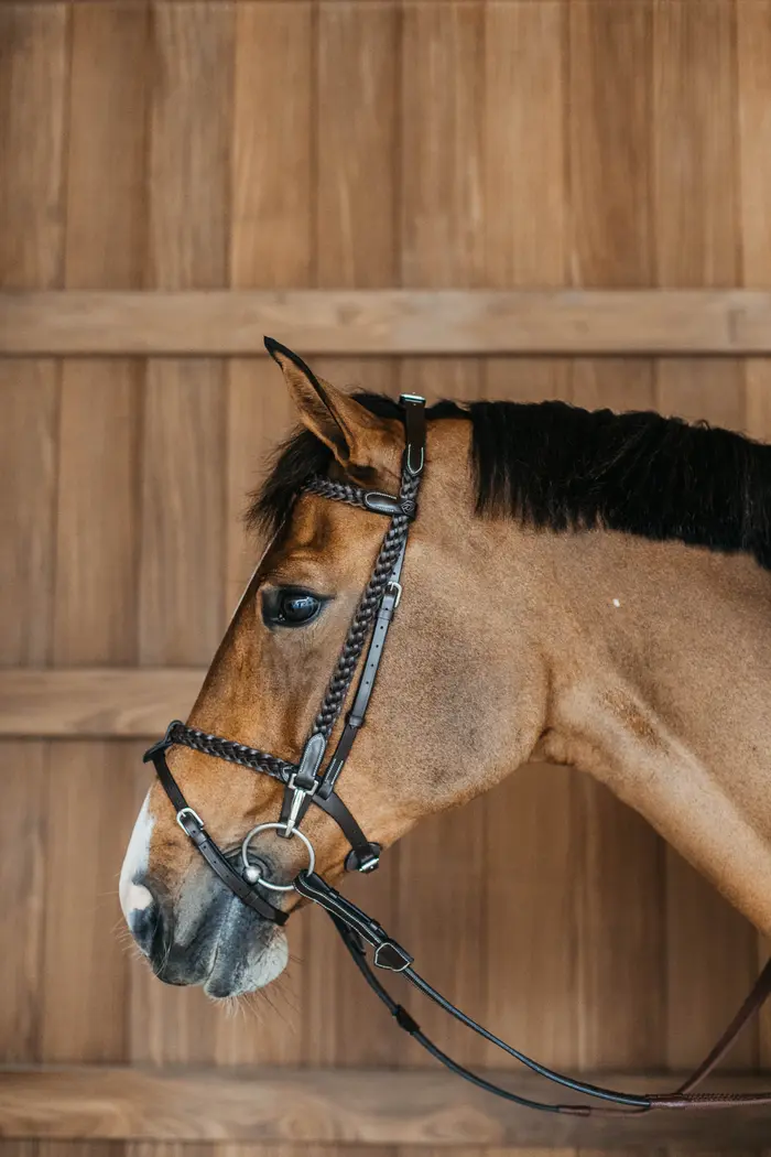 Dyon Plaited geflochtene Trainings Trense von Dyon