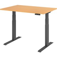 EISNHAUER® Complete Schreibtisch (Ausführung: 120 x 80 cm|Dekor: Buche|Gestellfarbe: Graphit) von EISNHAUER