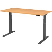 EISNHAUER® Complete Schreibtisch (Ausführung: 160 x 80 cm|Dekor: Buche|Gestellfarbe: Graphit) von EISNHAUER