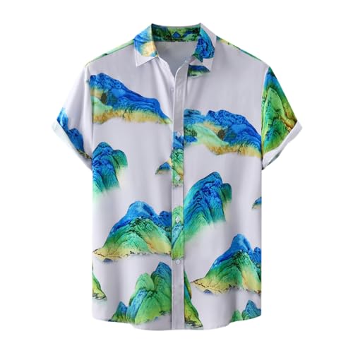 EMAlusher Freizeithemden FüR Herren Hawaii Hemd MäNner Lustig Men's Casual Hemd Funky Kurzarmhemd Baumwolle Hemdbluse MäNner Strandhemd Strandhemd von EMAlusher