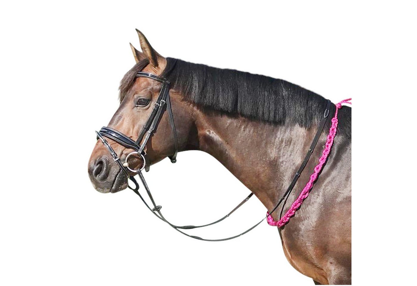 EQuest Zügel Beginner Balance Zügel, pink - 120 cm - hilft dem Pferd, das Gleichgew von EQuest