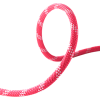 Performance Static 11,0mm Seile, pink, 50m - edelrid von Edelrid