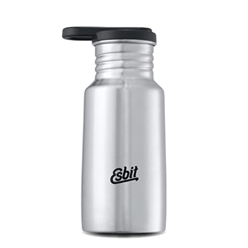 Esbit Trinkflasche Pictor - Edelstahl Trinkflasche mit praktischem Loop Verschluss - 350 ml in Edelstahl von Esbit