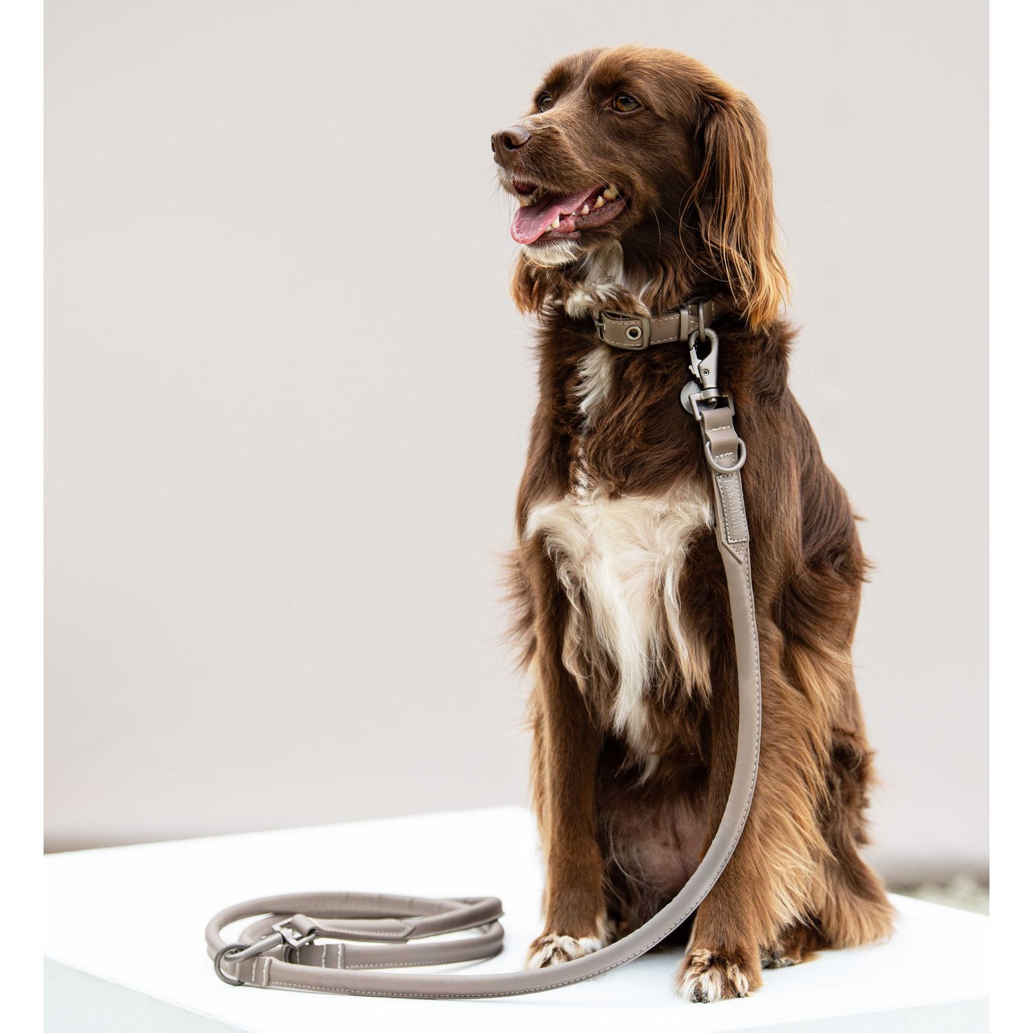 Eskadron Classic Sports 24 Leder Hunde Set Halsband und Leine von Eskadron