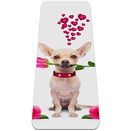 Eslifey Yogamatte Chihuahua mit Rose, dick, rutschfeste Yogamatte für Frauen und Mädchen, Gymnastikmatte, weiche Pilates-Matten, 182,9 x 61 cm, 6,4 mm dick von Eslifey