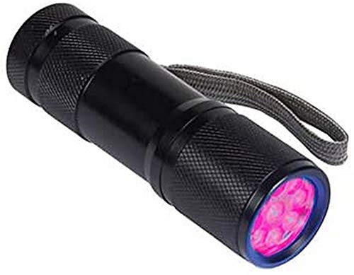 Expert Predator 25220 Taschenlampe, Unisex, für Erwachsene, Mehrfarbig, Einheitsgröße von Expert Predator