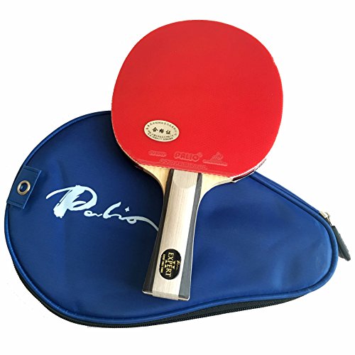 Palio Expert 2.0 Tischtennisschläger Mit Hülle von Expert Table Tennis