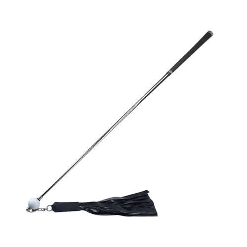 F Fityle Golf Swing Trainer Aid Golf Ribbon Stick Positionskorrektur Komfortable Griffgeräusche Übungsübung für Indoor Outdoor, für Männer von F Fityle