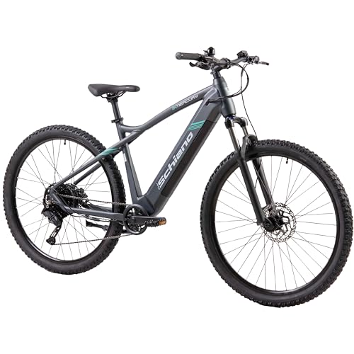 F.lli Schiano E-Mercury, E Bike Mountainbike, 29 Zoll, 36V 15Ah Abnehmbarer Akku, Motor 250W 55Nm, MTB Ebike für Herren/Damen, Grau-Grün von F.lli Schiano