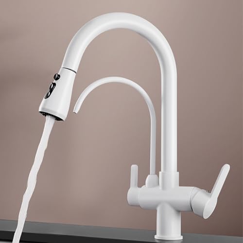 FACAITZQ 3-Wege-Küchenarmatur mit herausziehbarer Brause, weiße Schwanenhals-Küchenmischbatterie mit herausziehbarer Brause, Wasserhahn für Trinkwasser FACAITZQ 3-Wege-Küchenarmatur mit herausziehbarer Brause, weiße Schwanenhals-Küchenmischbatterie mit herausziehbarer Brause, Wasserhahn für Trinkwasser von FACAITZQ
