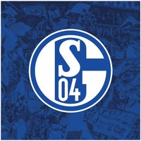 Wechselmotiv Classic für LED Leuchtbild von FC Schalke 04