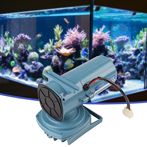 Elektrische Luftpumpe, DC 12V 35 Watt Luftpumpe Belüfter für Fischteich Aquakultur Aquarium Zubehör Werkzeug Luftkompressor Für Aquarium von FILFEEL