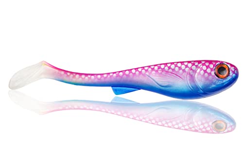 FISHN XL Hechtköder GrumpyOne Select - 55gr, 18cm, Extreme Schwimmaktion, Angelköder zum Hechtangeln, Softbait, Swimbait, hohe Fangkraft, Köder zum Angeln auf Hecht (Pink Lady) von FISHN