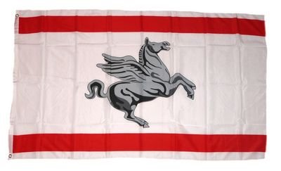 Flagge Fahne Italien - Toskana 90 x 150 cm FLAGGENMAE® von FLAGGENMAE
