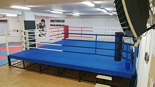 MMA Bodenring aus Segeltuch – für Wrestling, Boxen, Gymnastik und Kampfsport (blaue Leinwand, 40,6 x 40,6 cm) von FNine