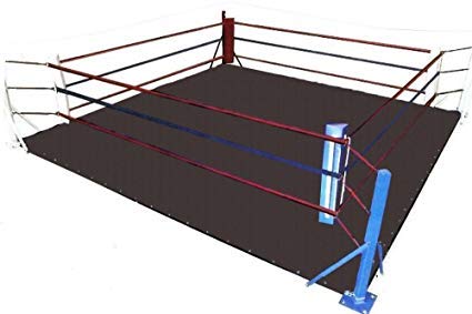 MMA Bodenring aus Segeltuch – für Wrestling, Boxen, Gymnastik und Kampfsport (schwarze Leinwand, 35,6 x 35,6 cm) von FNine