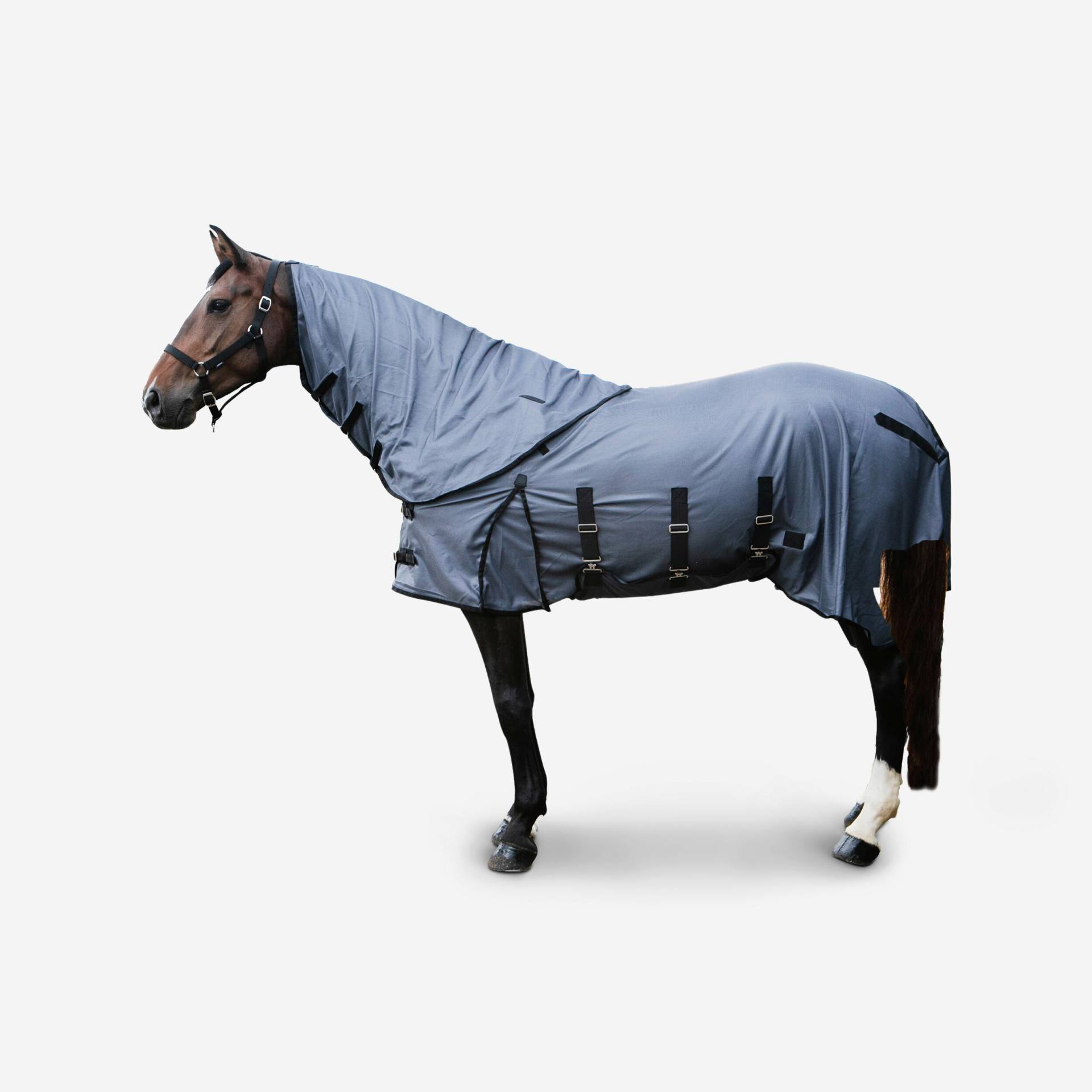 Fliegendecke Insektenschutz-Decke Pferd/Pony grau von FOUGANZA