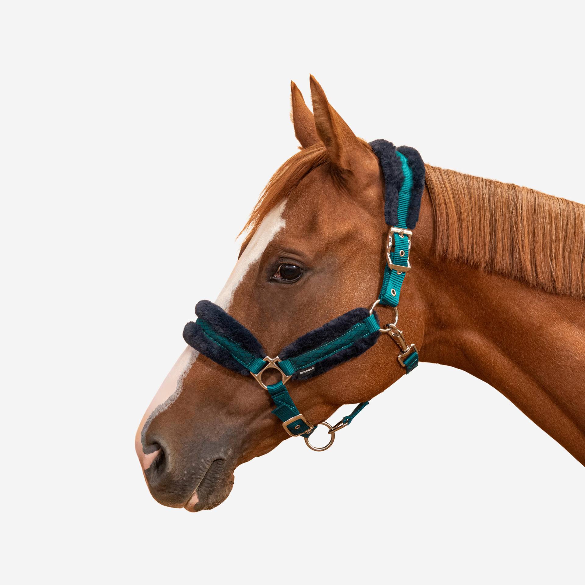 Halfter Pferd - Comfort türkis/dunkelblau von FOUGANZA