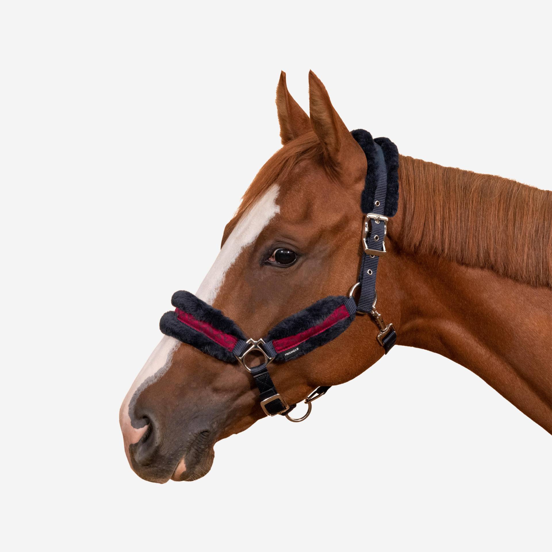 Halfter Pony - Comfort dunkelblau/rot von FOUGANZA