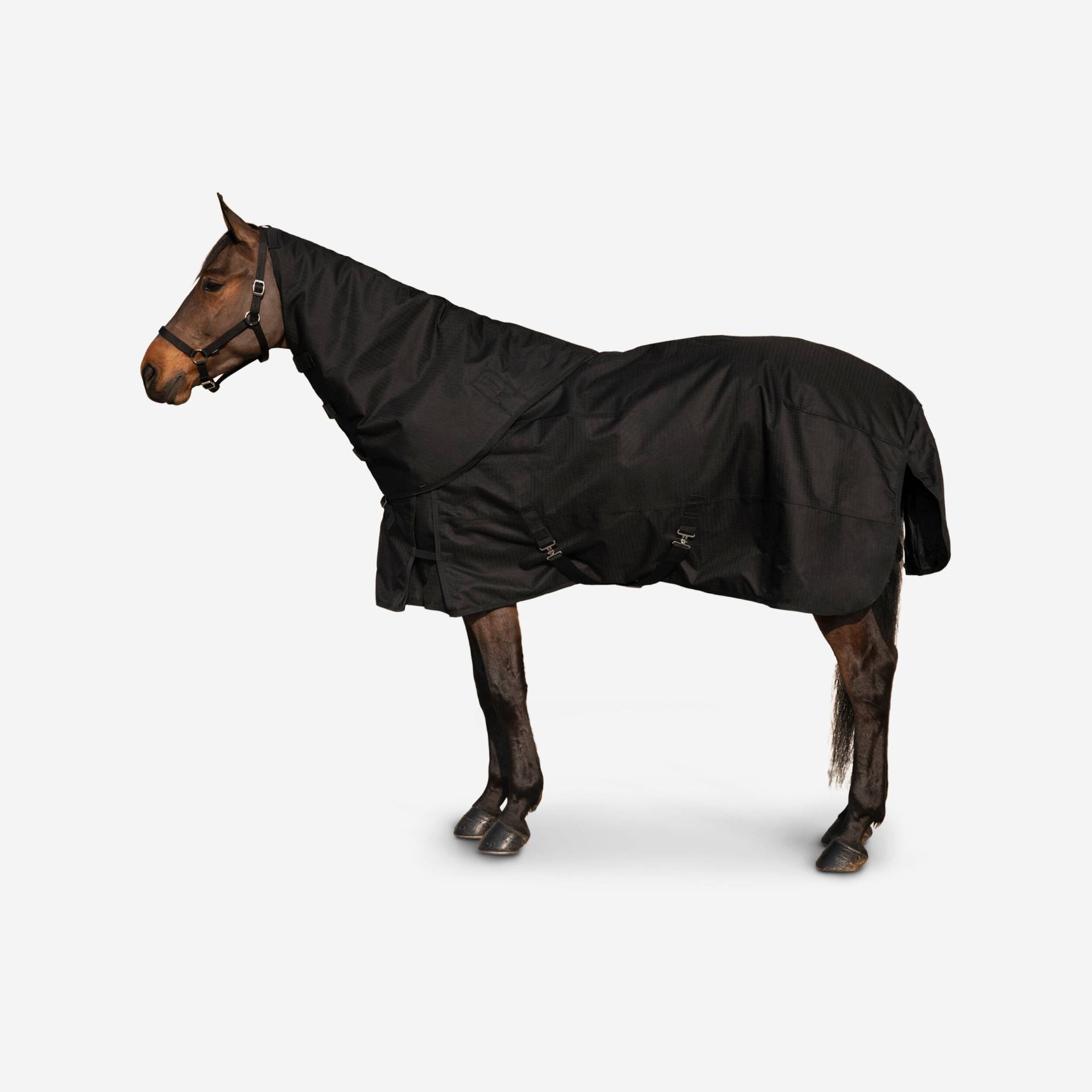 Halsteil Neckcover Pferd - Allweather 200 schwarz von FOUGANZA