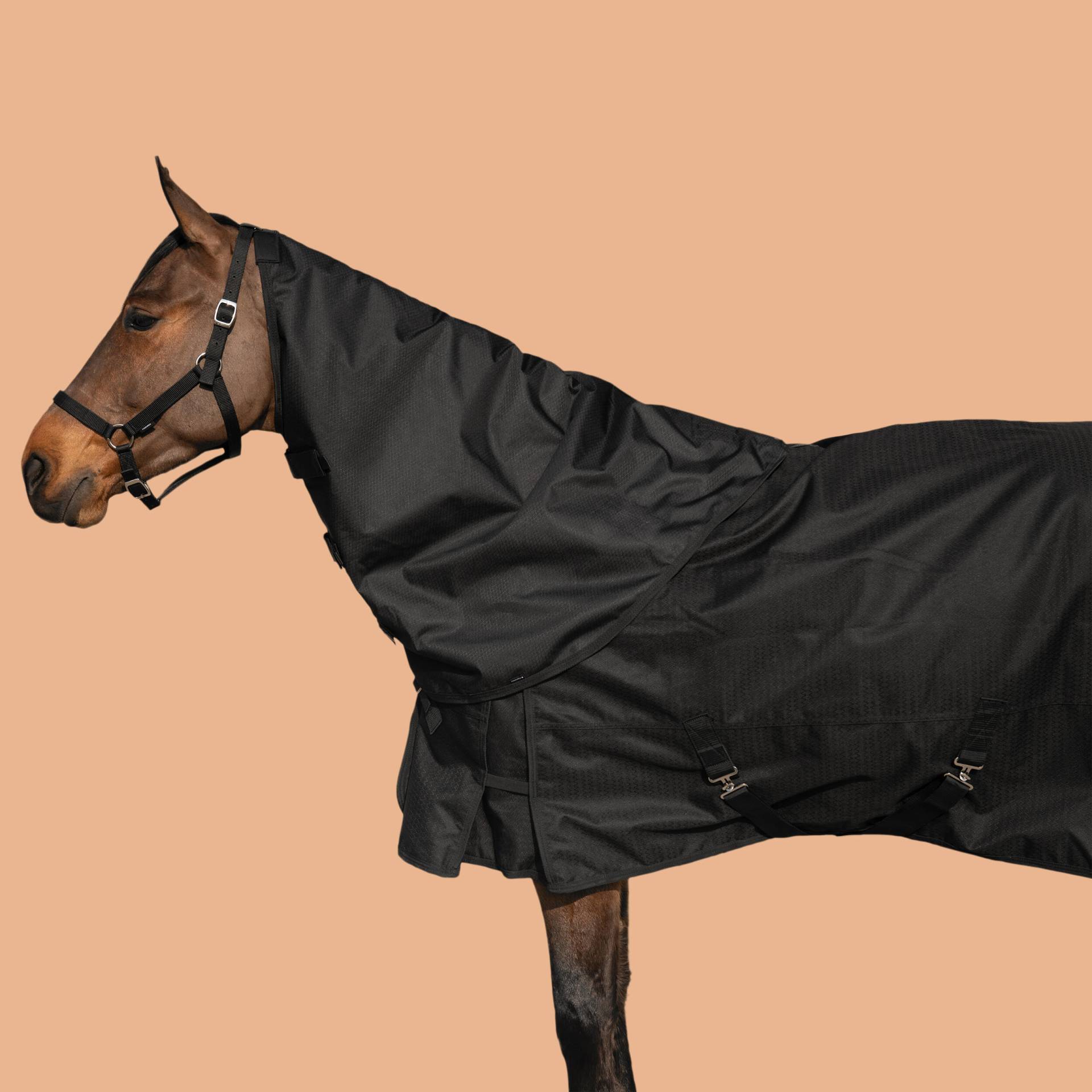 Halsteil Neckcover wasserdicht Pferd - Allweather Light schwarz von FOUGANZA