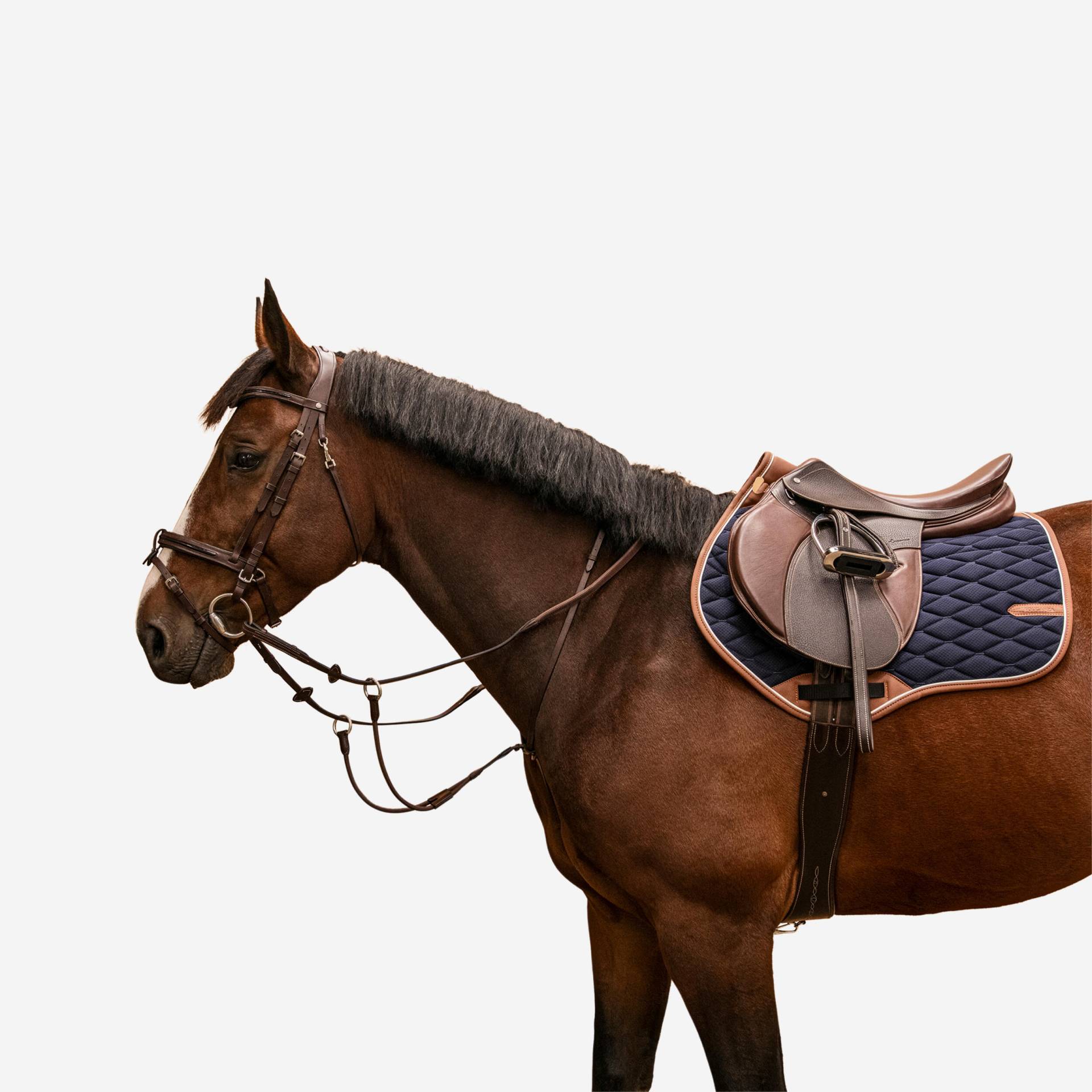 Martingal elastisch Pferd/Pony - dunkelbraun von FOUGANZA