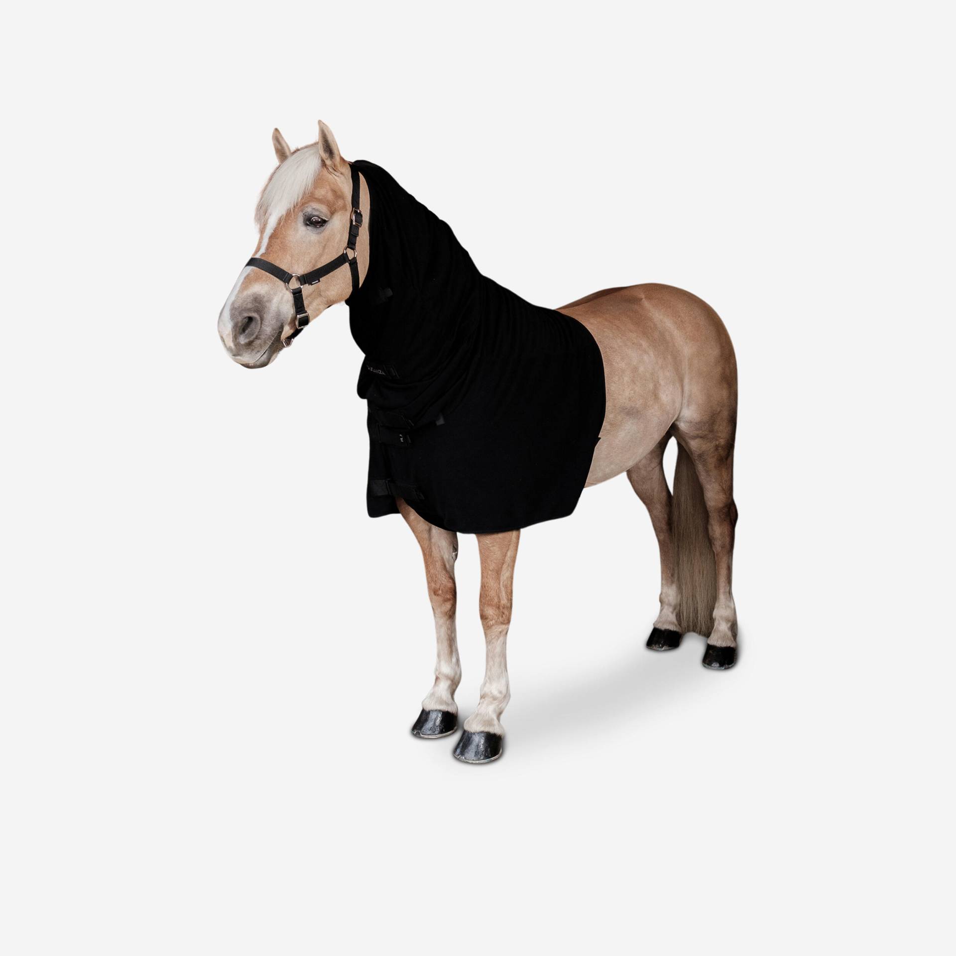 Halsteil Neckcover Fleece Pferd/Pony schwarz von FOUGANZA
