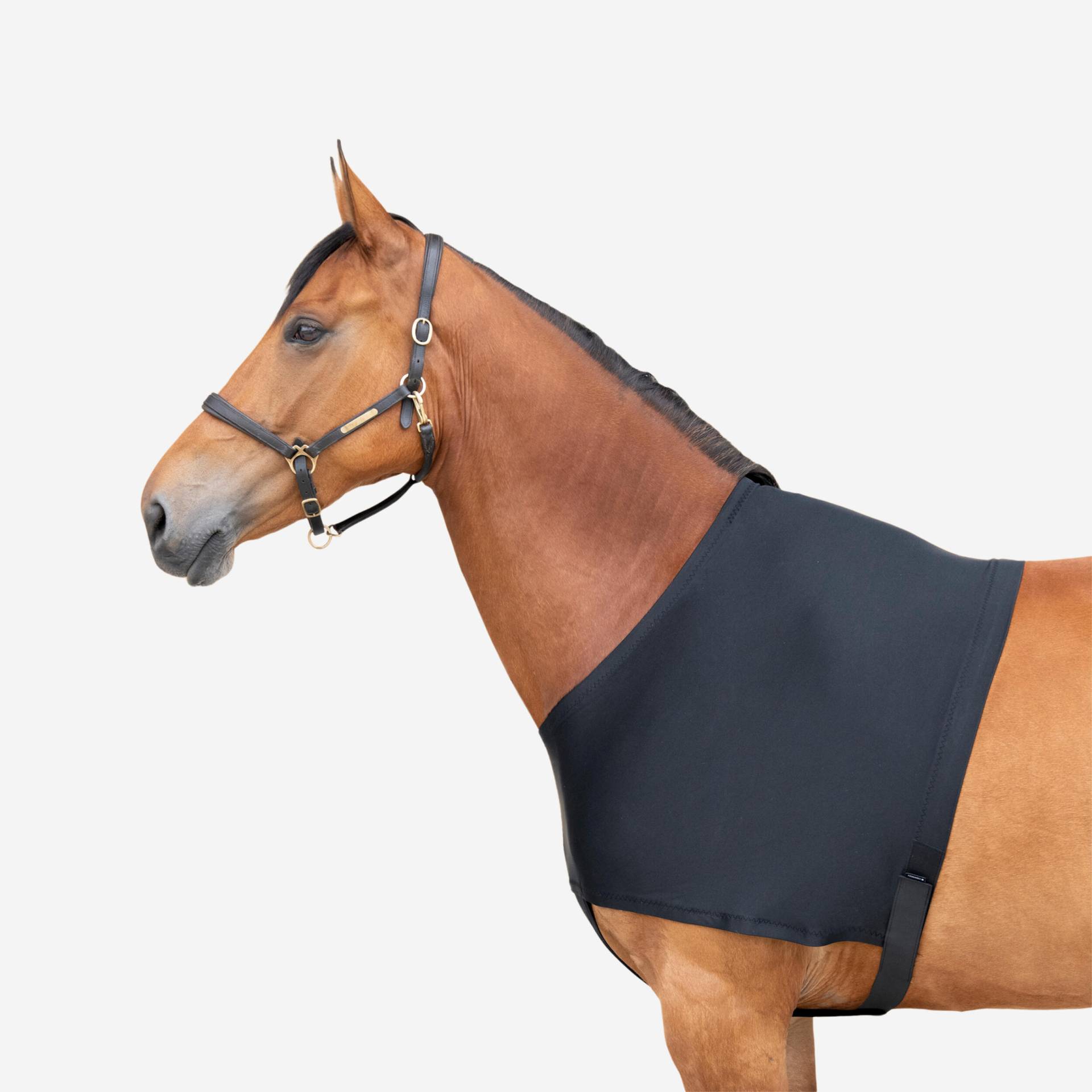 Schulterschutz Unterzieher Pferd/Pony - schwarz von FOUGANZA