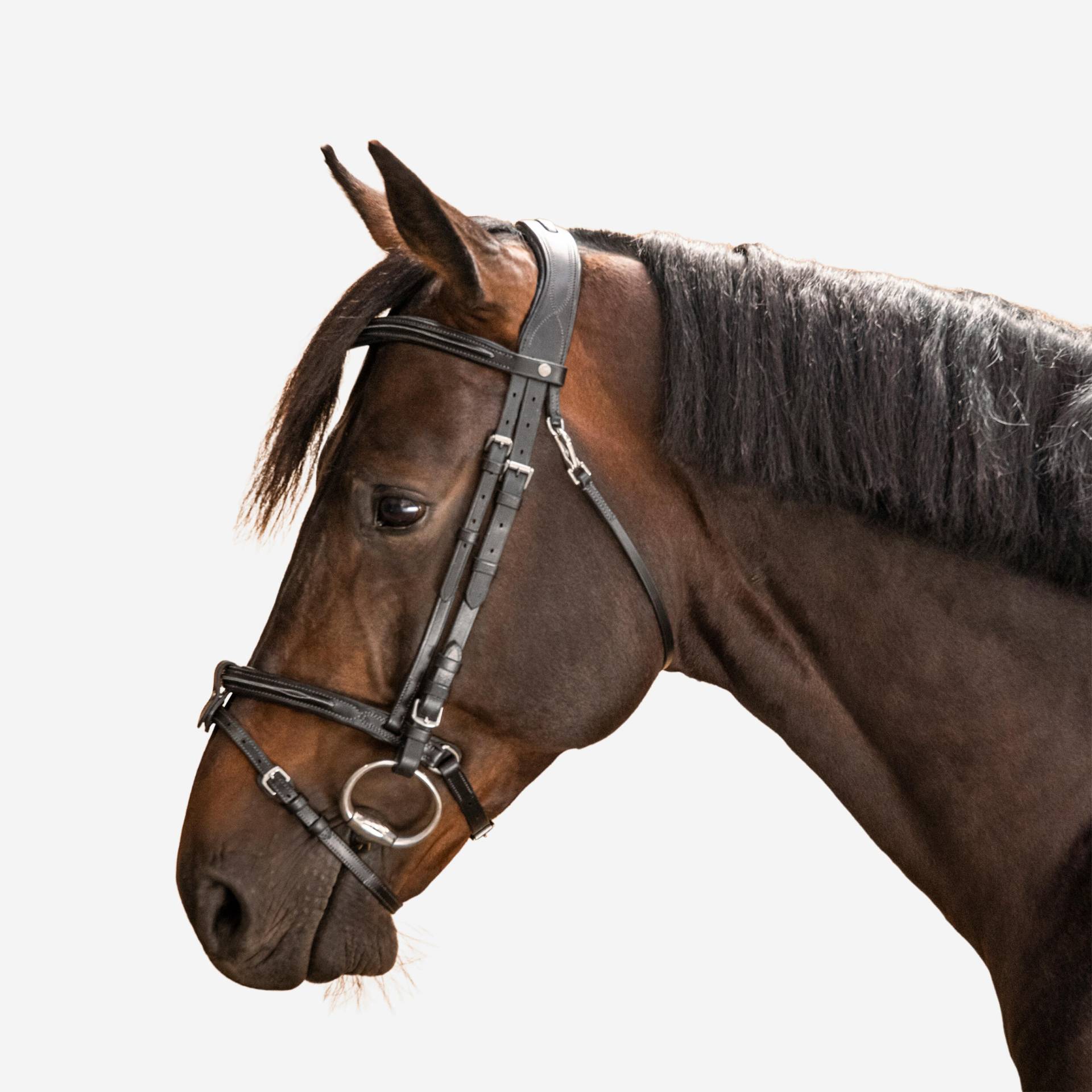Trense Ziernähte Leder Pferd/Pony - 580 schwarz von FOUGANZA