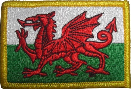 Wales Aufbügler Aufnäher Patch ca. 8 x 5,5cm Fahne Flagge von FRIP –Versand