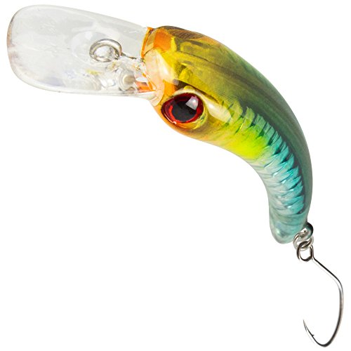 FTM Unisex – Erwachsene 10C8900065C10 Wobbler Masu 1,2g 2,9cm-Forellenwobbler zum Spinnangeln, Miniwobbler zum Forellenangeln, Forellenköder zum Spinnfischen, Farbe:grün/orange/blau, Bunt, Normal von Fishing Tackle Max