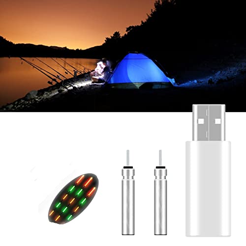 Leuchtende Elektronische Angelpose Akku Wiederaufladbare USB Ladegerät 3V Mit CR425 Batterie Set Für Nachtangeln Schwimmt Posen (2 Loch) von FUFRE