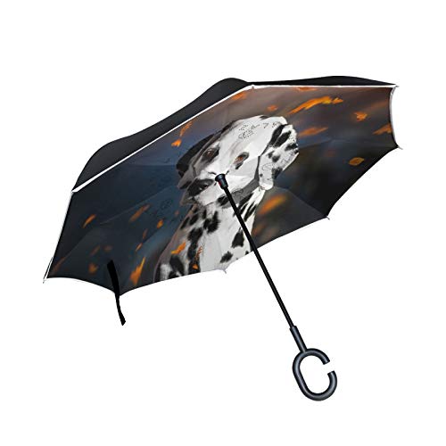 Niedliches Dalmatinisches Hundegänseblümchenblatt Umgekehrte Regenschirm mit C-förmigem Griff Seitenverkehrt Faltbarer Regenschirm UV-Schutz Auto Große Schirm von FVFV