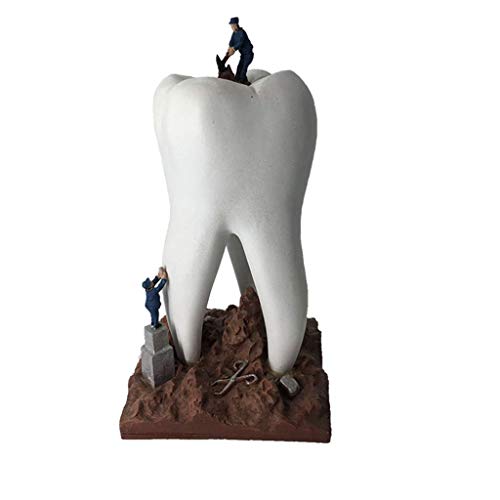 Geschenk für Dentalhygienikerin - handbemalte Skulptur Figur Zähne Handwerk Zahnklinik Classic Decor Zubehör Dentalhygienikerin Ornament, Weiß von FXQ