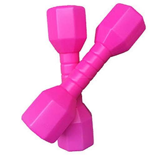 Fitness-Hanteln für Kinder, 2 Stück, Kinder-Handgewichte, Kindergarten-Spaß-Geschenk von Faderr