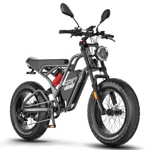 Fafrees F20 Ultra E Bike Elektrofahrrad, hydraulische Bremse 48V 25Ah Akku, City E-Bike 20 * 5.0 Zoll Dicke Reifen, Fatbike Motor 79N.m Torque, Mountainbike Reichweite bis zu 80-140Km (Dunkelgrau) von Fafrees