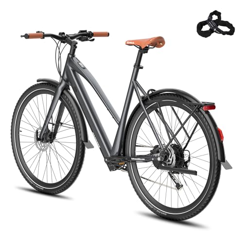 Fafrees F700W E Bike für Erwachsene Akku 36V 10AH [ Offiziell ] Ebike Damen 250W, Elektrofahrrad Herren 25km/h, Elektrisch Fahrrad 100KM, E Mountainbike 150kg, E Pedelec 700 * 42C, E Citybike 40N.m von Fafrees