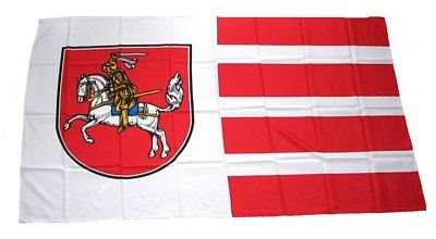 Fahne/Stockflagge Dithmarschen 30 x 45 cm Flagge von FahnenMax