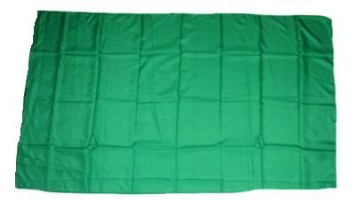 Fahne/Stockflagge Grün 30 x 45 cm Flagge von FahnenMax