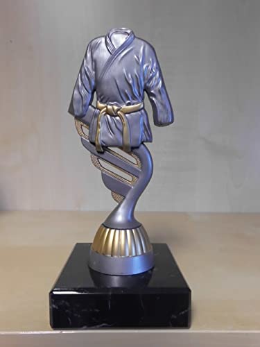Fanshop Lünen Karate Pokal Kampfsport - Turnier Judo Taekwondo Trophäe - (Gold/Silber) - Figur - Pokale - mit Gravur - (pf214) von Fanshop Lünen