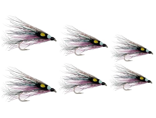 Feeder Creek Fliegenfischen Fliegen, kleine Regenbogen-Forellenfliegen, 3 Größen, Dampfgarer-Fliegen, Barschfliegen, Fliegen zum Fliegenfischen (kleiner Regenbogen, 6 Fliegen) von Feeder Creek