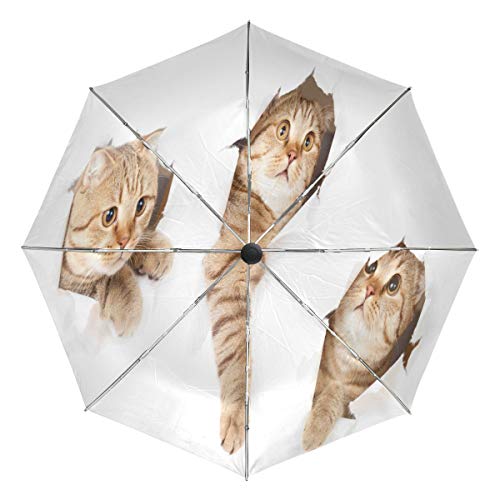 Automatischer Regenschirm mit Katzen in Tapetenloch, Kätzchen, weiß, winddicht, wasserdicht, UV-Schutz, Reiseschirm – 3 Falten, automatisches Öffnen/Schließen, Knopf Sonne & Regen Auto Regenschirm von Fender